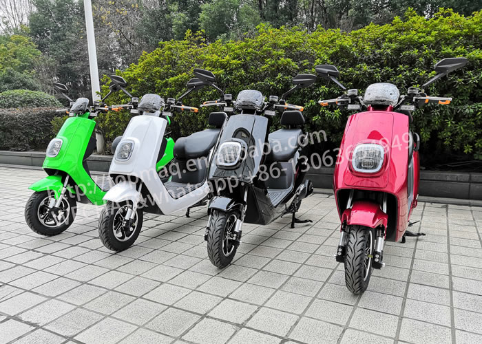 GOGO/ electric bicycle / ebike / e bike